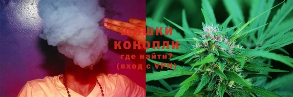 ПСИЛОЦИБИНОВЫЕ ГРИБЫ Арсеньев