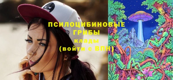 ПСИЛОЦИБИНОВЫЕ ГРИБЫ Арсеньев