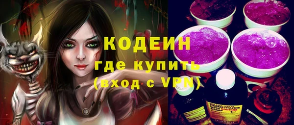 ПСИЛОЦИБИНОВЫЕ ГРИБЫ Арсеньев