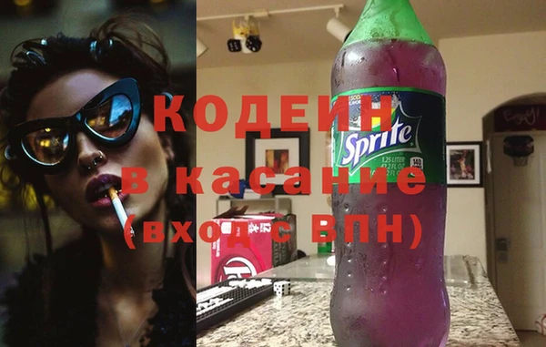 ПСИЛОЦИБИНОВЫЕ ГРИБЫ Арсеньев