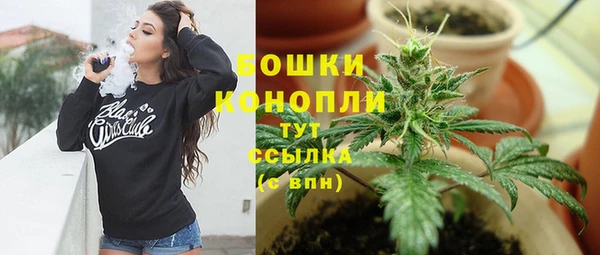 ПСИЛОЦИБИНОВЫЕ ГРИБЫ Арсеньев