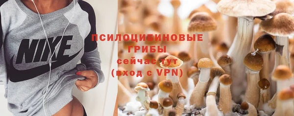 ПСИЛОЦИБИНОВЫЕ ГРИБЫ Арсеньев