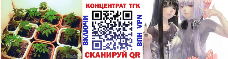 Дистиллят ТГК Wax  даркнет какой сайт  Ахтубинск 