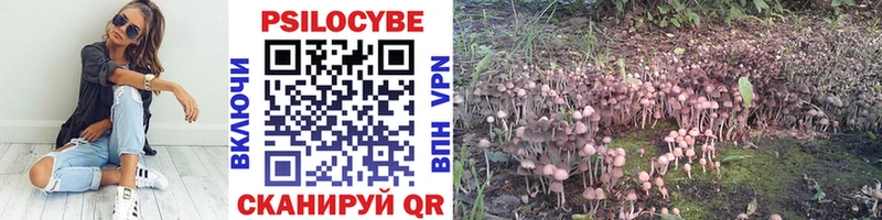 Галлюциногенные грибы MAGIC MUSHROOMS  Ахтубинск 